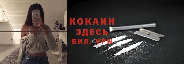 дмт Лагань