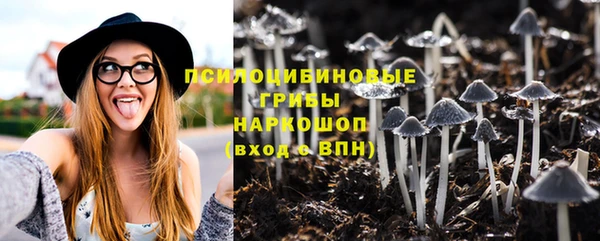 ешки Фурманов