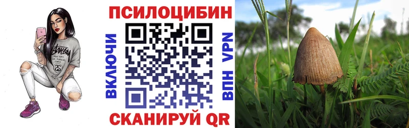 купить наркоту  Иваново  Галлюциногенные грибы Magic Shrooms 